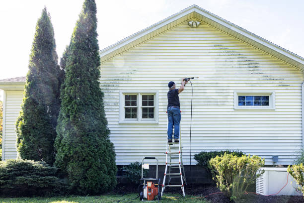 Best Roof Pressure Washing  in Amboy, WA